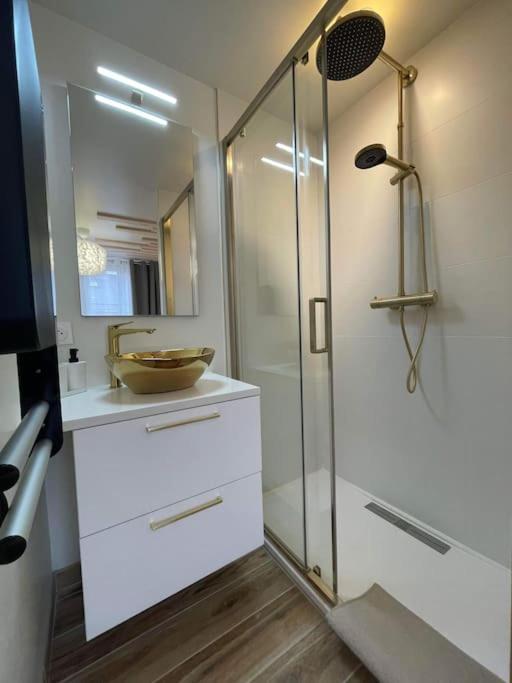 Apartament Luxueux T2 Lumineux Unique Saint Claude Zewnętrze zdjęcie